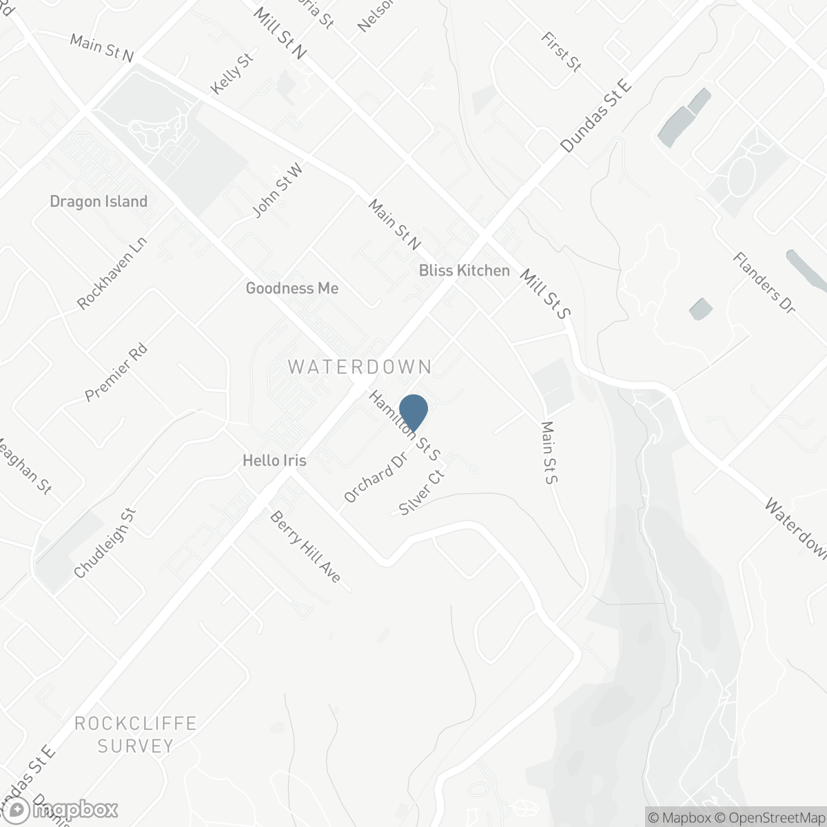 101 - 30 HAMILTON STREET S, Hamilton, Ontario L8B 1V8